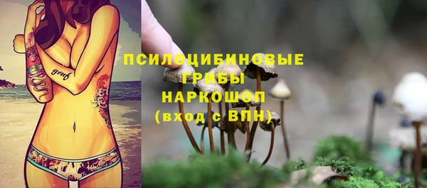 MESCALINE Баксан