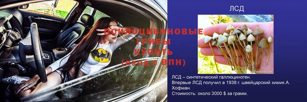 PSILOCYBIN Елизово