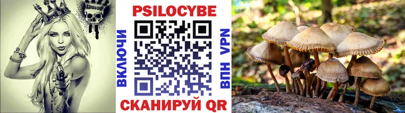 Псилоцибиновые грибы Psilocybe  Ленск 